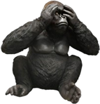 Chimpanzee Product