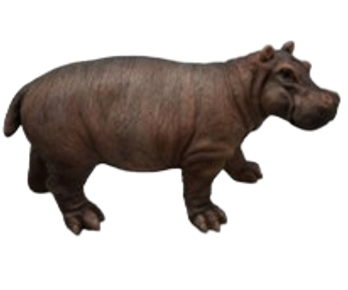 Hippopotamus Product