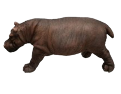 Hippopotamus Product