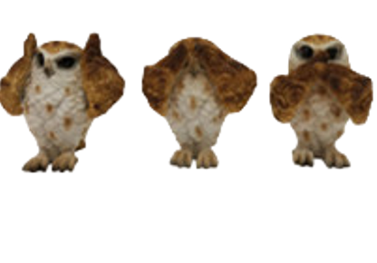Owl Product