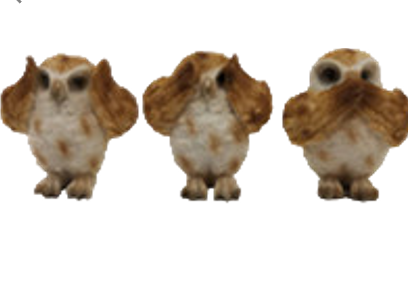 Owl Product