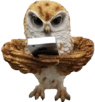 Owl Product