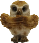 Owl Product