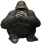 Chimpanzee Product