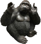 Chimpanzee Product