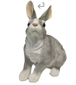 Rabbit Product
