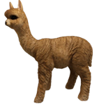 Alpaca Product