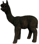 Alpaca Product