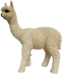 Alpaca Product