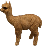 Alpaca Product