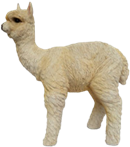Alpaca Product