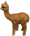 Alpaca Product