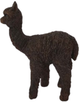 Alpaca Product