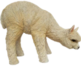 Alpaca Product