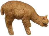 Alpaca Product