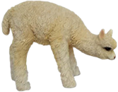 Alpaca Product