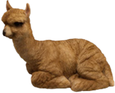 Alpaca Product