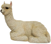 Alpaca Product