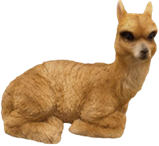 Alpaca Product
