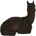 Alpaca Product