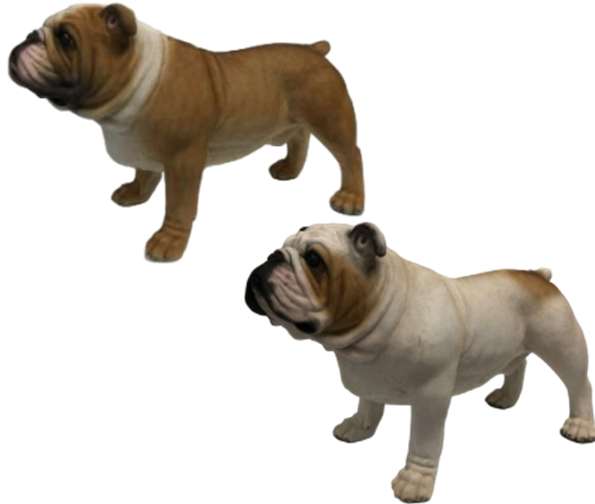 Dog Product