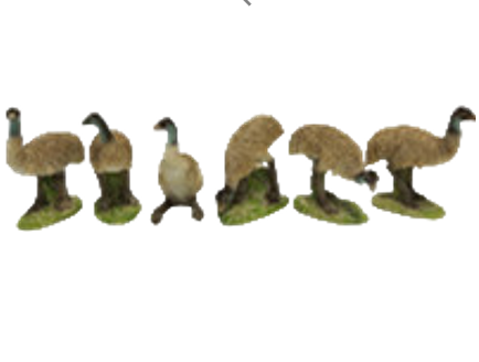 Emu Product