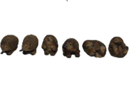 Hedgehog Product