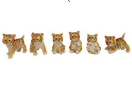 Tiger Product