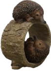 Hedgehog Product
