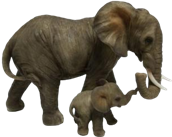 Elephant Product