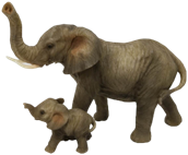 Elephant Product