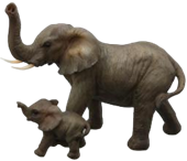 Elephant Product