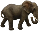 Elephant Product
