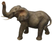 Elephant Product