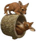 Kangaroo Product