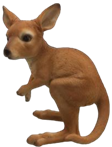 Kangaroo Product