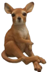 Kangaroo Product