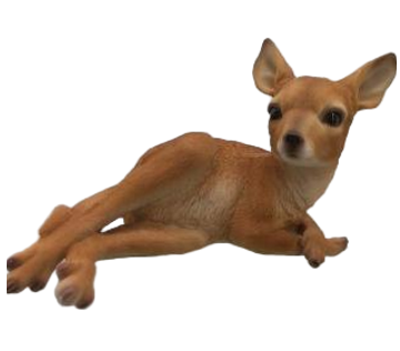 Kangaroo Product