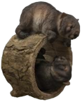 Koala Product