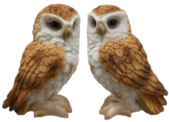 Owl Product