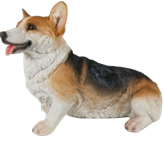 Dog Product
