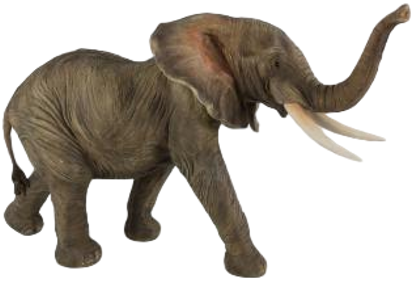 Elephant Product