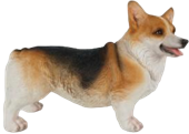Dog Product