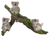 Koala Product