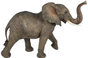 Elephant Product