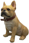 Dog Product