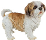 Dog Product