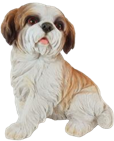 Dog Product