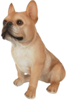Dog Product