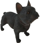 Dog Product
